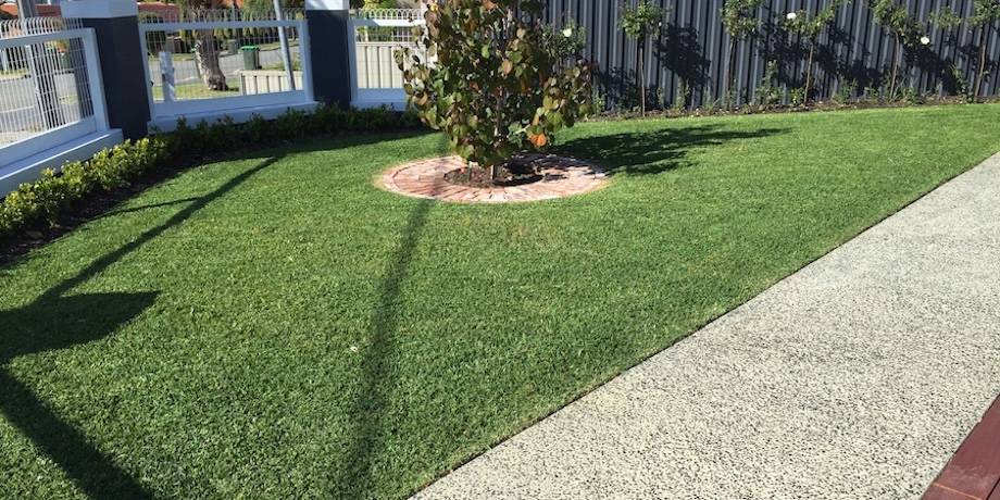 a beautifully edged and mowed buffalo lawn