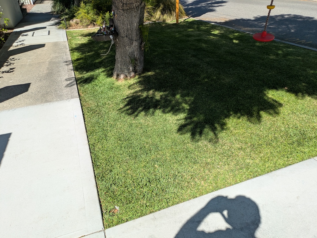 a buffalo lawn on a verge after professional lawn edging and lawn mowing