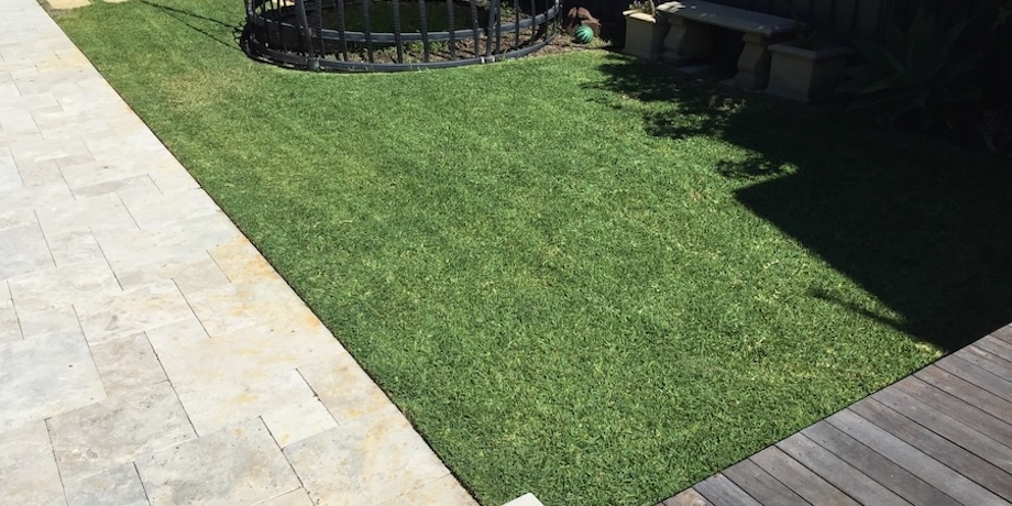 perfectly edged and mowed lawn near a swimming pool