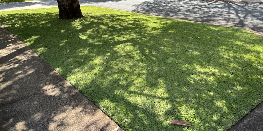 a well looked after lawn with beautiful lawn edging and lawn mowing