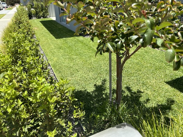 Lawn Mowing Perth