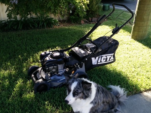 Lawn Mowing Contractor In Leederville