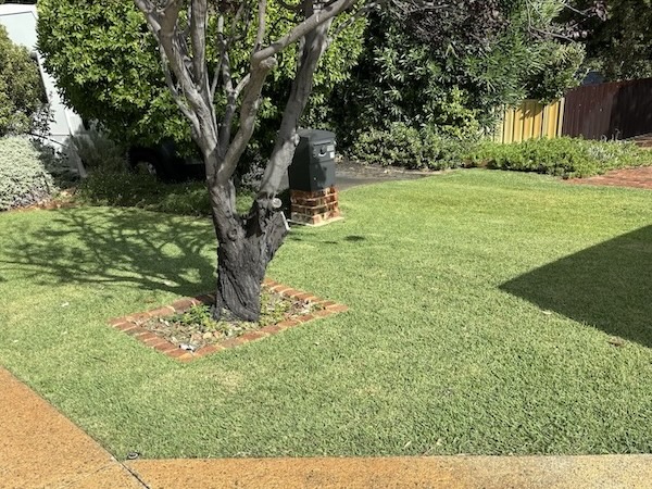 Lawn Mowing Services In Perth Western Australia